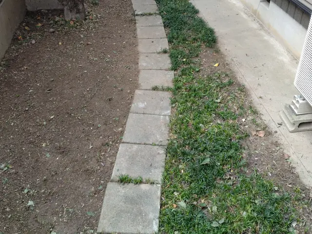 手作業で丁寧とスピーディーを心がけて作業遠方や荒れたお庭もお任せあれ！安心の評価サービスの画像