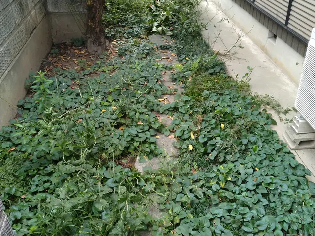 手作業で丁寧とスピーディーを心がけて作業遠方や荒れたお庭もお任せあれ！安心の評価サービスの画像