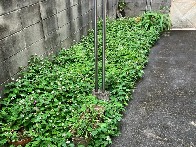 手作業で丁寧とスピーディーを心がけて作業遠方や荒れたお庭もお任せあれ！安心の評価サービスの画像