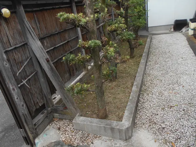 手作業で丁寧とスピーディーを心がけて作業遠方や荒れたお庭もお任せあれ！安心の評価サービスの画像