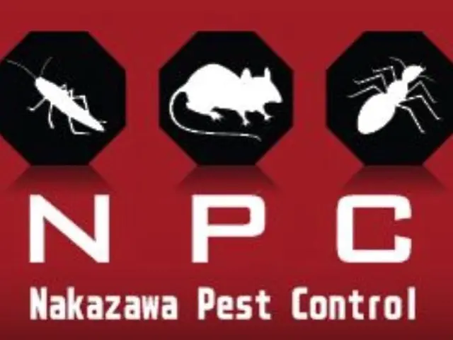 【見積無料】木材害虫駆除はNPCへ／適正価格／カード.QR決済／プライバシー厳守サービスの画像