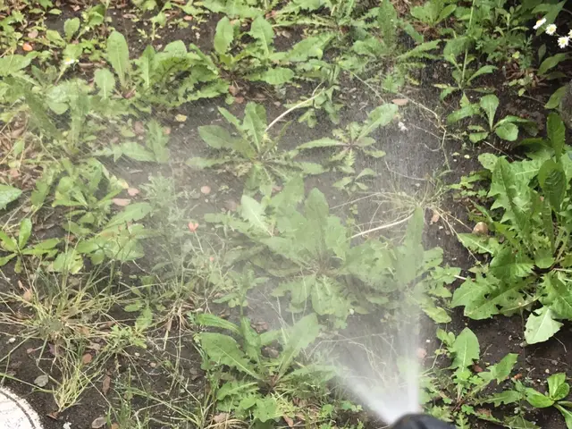 【見積無料】木材害虫駆除はNPCへ／適正価格／カード.QR決済／プライバシー厳守サービスの画像