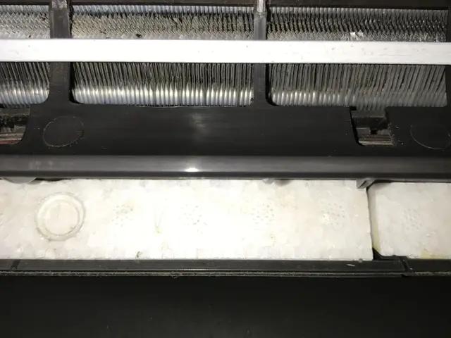 マストな清掃も手頃なお値段で！お掃除機能付きでも13500円！サービスの画像