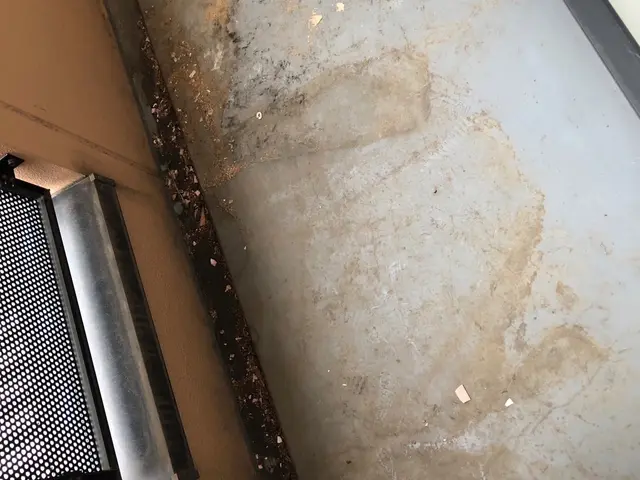 【親切・丁寧】損害保険加入済みで安心◎徹底的にキレイにします！サービスの画像