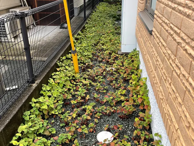 機械による除草作業承ります。もちろん、処分、除草剤散布もしております。サービスの画像