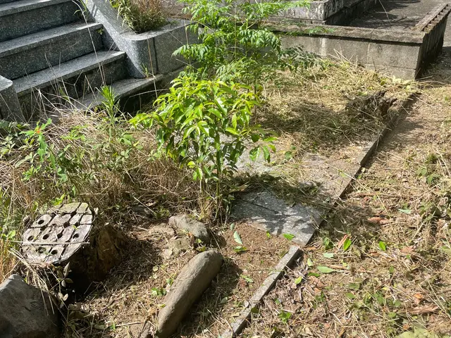 機械による除草作業承ります。もちろん、処分、除草剤散布もしております。サービスの画像