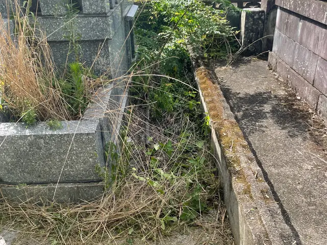 機械による除草作業承ります。もちろん、処分、除草剤散布もしております。サービスの画像