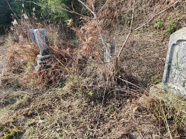 外構工事専門の便利屋TRUSTへお任せください！サービスの画像