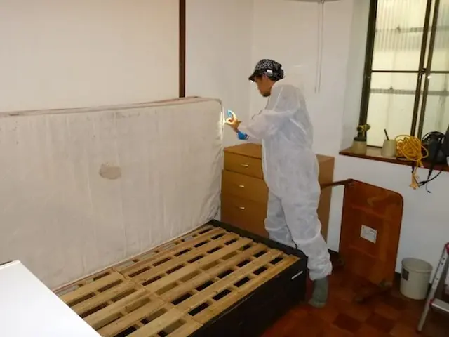 トコジラミ駆除歴10年以上の有資格者多数在籍【再発保証付】【有資格者多数在籍】サービスの画像