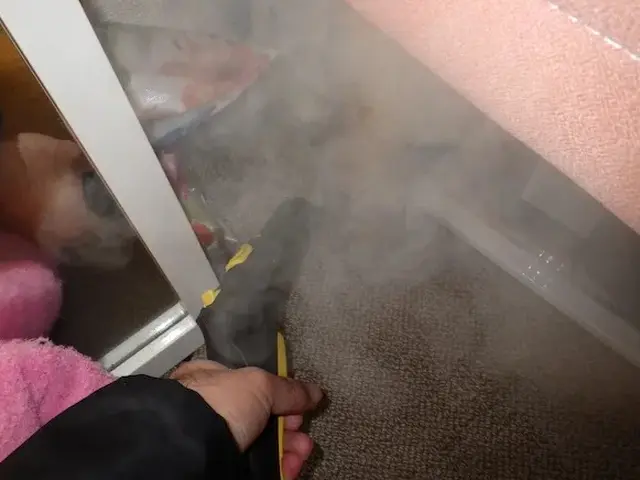 トコジラミ駆除歴10年以上の有資格者多数在籍【再発保証付】【有資格者多数在籍】サービスの画像