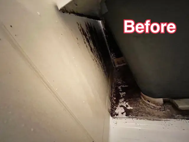 お子様のいるご家庭も安心！！丁寧な作業に好評頂いてます！！サービスの画像