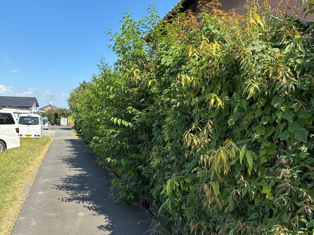 鴻巣の植木屋さん！一級造園施工管理技士の私がお伺いします！お気軽にご相談下さい！サービスの画像