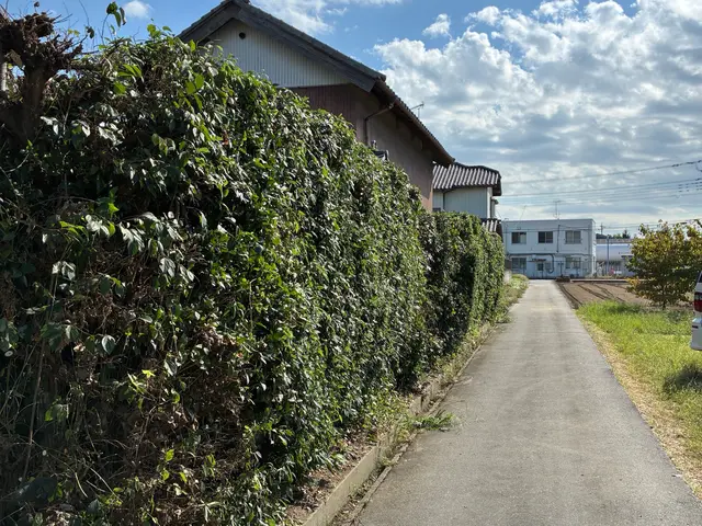 鴻巣の植木屋さん！一級造園施工管理技士の私がお伺いします！お気軽にご相談下さい！サービスの画像