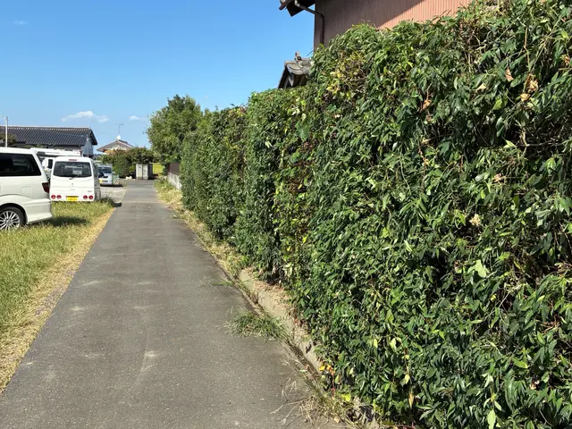 鴻巣の植木屋さん！一級造園施工管理技士の私がお伺いします！お気軽にご相談下さい！サービスの画像