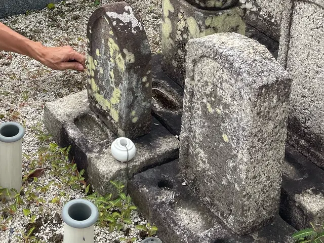 くらしのスケッターの【3時間のサブスク】この魔法をあなたに。お花代、交通費込みサービスの画像