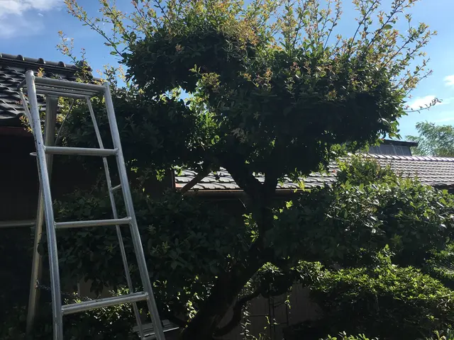 スピーディな対応でお困りごとをスッキリ！ゴミ処分費込サービスの画像