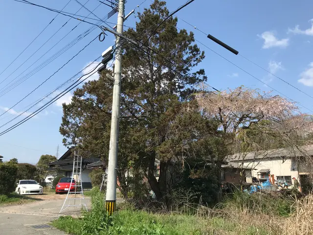 【カード payp可】♣︎複数割引あり　♣︎安心丁寧のサービスを心がけますサービスの画像