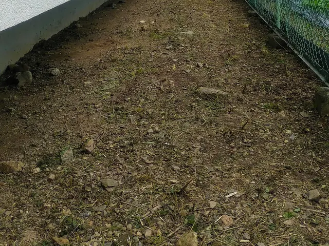 ■草刈り作業でお困りの方ご相談下さい【問題解決･改善提案】いたします■サービスの画像