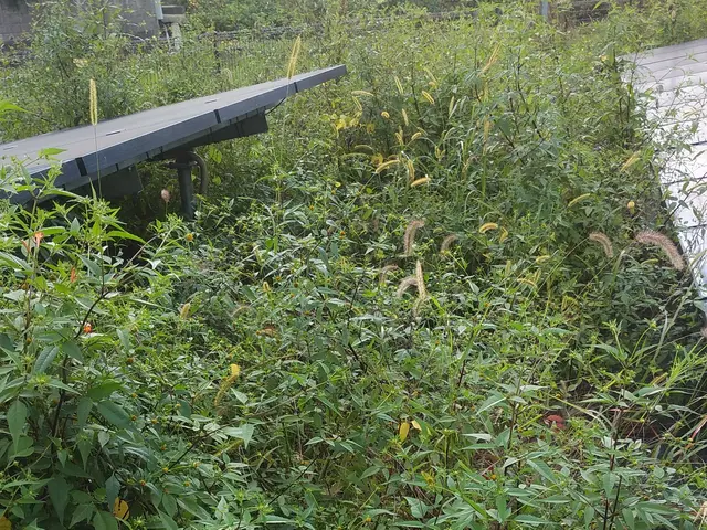 ■草刈り作業でお困りの方ご相談下さい【問題解決･改善提案】いたします■サービスの画像