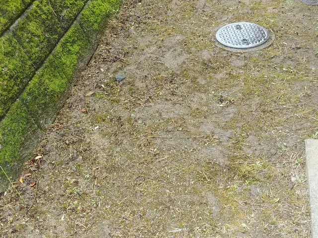 ■草刈り作業でお困りの方ご相談下さい【問題解決･改善提案】いたします■サービスの画像