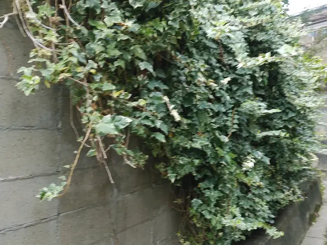 ■草刈り作業でお困りの方ご相談下さい【問題解決･改善提案】いたします■サービスの画像