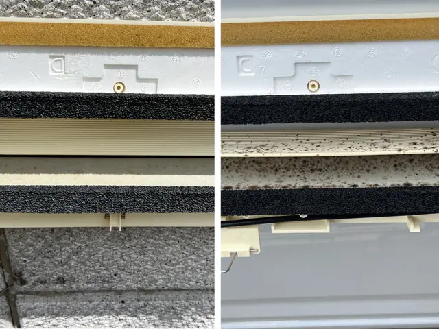 SDGsのハウスクリーニング！お子様、ペットに優しいエコ洗剤を標準施工！サービスの画像