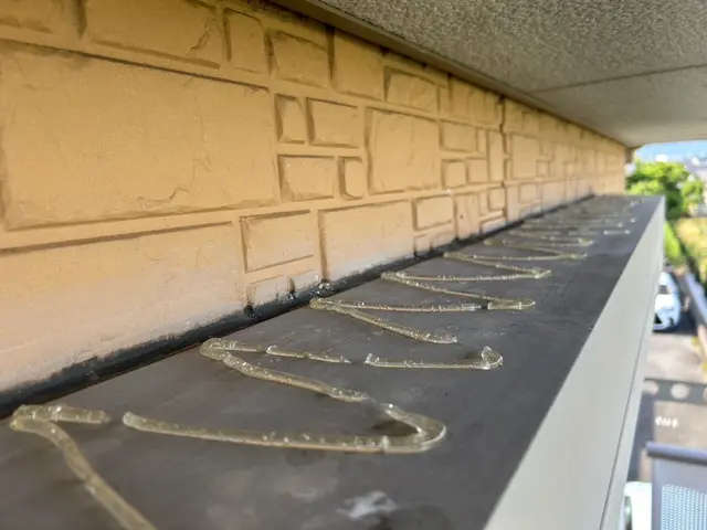 害鳥駆除・防除サービスサービスの画像