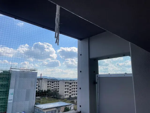 害鳥駆除・防除サービスサービスの画像