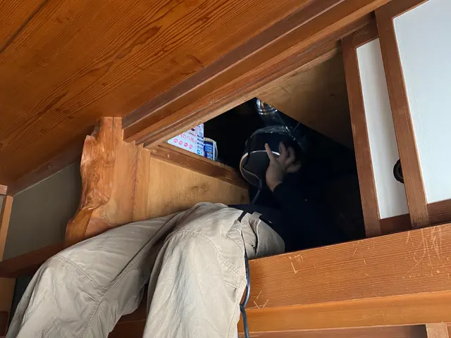 【再発ゼロ宣言】害獣駆除16年☆実績2000件超！完全自社施工のネズミ駆除専門店サービスの画像