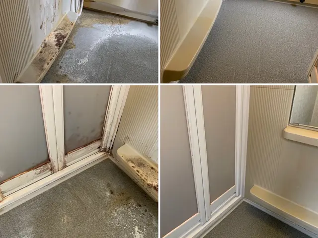 【浴室とレンジフード】セットでお得♬サービスの画像