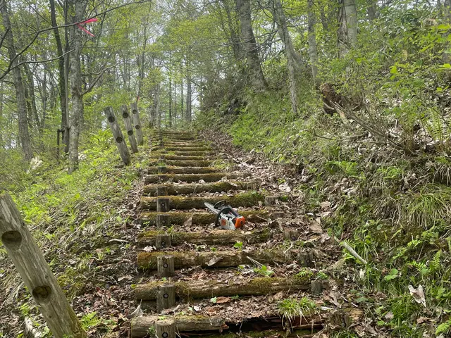 5月新規出店！空地やイグネ等の木の伐採や枝払い等お任せくださいサービスの画像