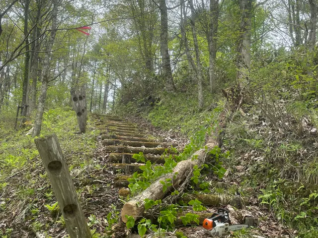 5月新規出店！空地やイグネ等の木の伐採や枝払い等お任せくださいサービスの画像