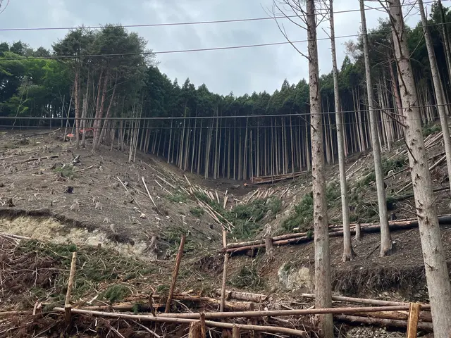 5月新規出店！空地やイグネ等の木の伐採や枝払い等お任せくださいサービスの画像