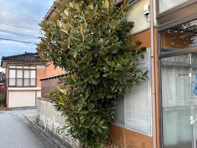 丁寧に説明し仕上がりまで責任を持って対応しますサービスの画像