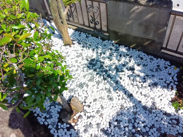 お客様のお力になります！経験と知識を活かして迅速丁寧に作業いたしますサービスの画像