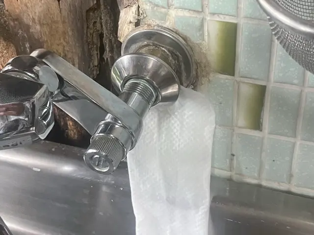 プロの技術でご満足いただけるように心を込めて作業いたしますサービスの画像