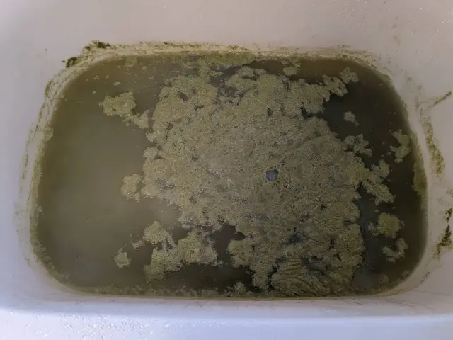 【女性同行・キャッシュレス決済可】お風呂の追い炊き配管洗浄サービスの画像