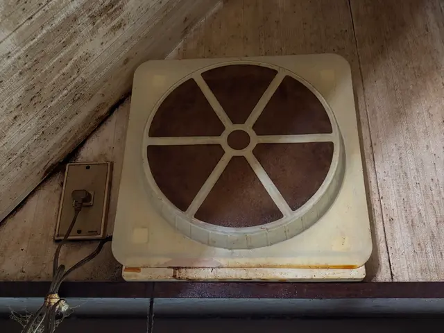 プロペラ羽根・カバー・フィルター部分の油汚れを丁寧に洗浄。サービスの画像