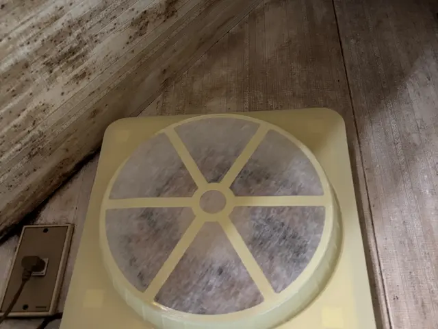 プロペラ羽根・カバー・フィルター部分の油汚れを丁寧に洗浄。サービスの画像