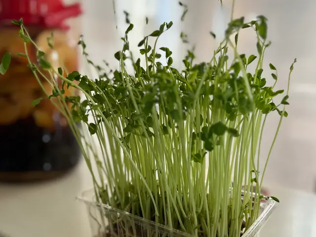 暮らしに合わせて整える.話しながら進める整理収納サポートサービスの画像