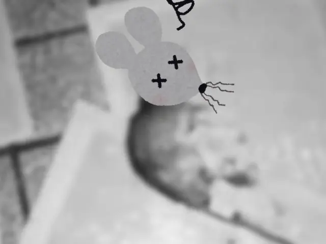 《24時間対応》ネズミとの頭脳戦なら負けません！サービスの画像