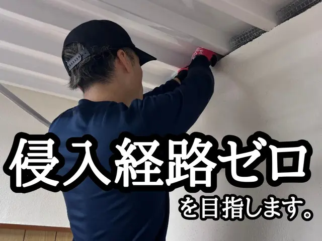 《24時間対応》ネズミとの頭脳戦なら負けません！サービスの画像