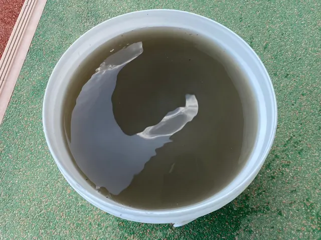 【マタニティ&ママにおすすめ！！！複数台割引☆】ノクリアシリーズ対応可能★★サービスの画像