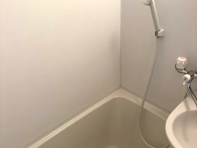 名古屋　空室クリーニング　丁寧仕上げ　作業外注、追加料金なし！サービスの画像