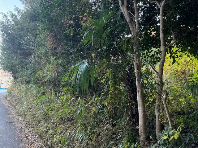 伐採サービスサービスの画像