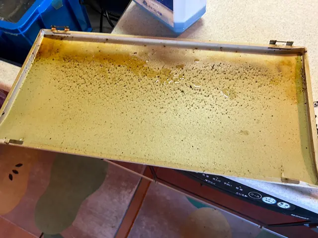 【超人気メニュー】お風呂と換気扇2点セット！納得してして頂くまで帰りません！サービスの画像