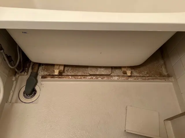 【超人気メニュー】お風呂と換気扇2点セット！納得してして頂くまで帰りません！サービスの画像