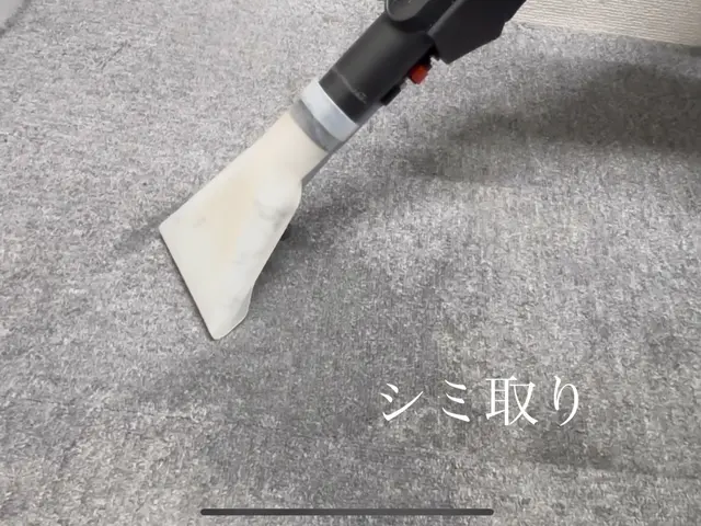 【年中無休で対応】カーペットのシミや臭いお困り事を解決させて頂きます。サービスの画像