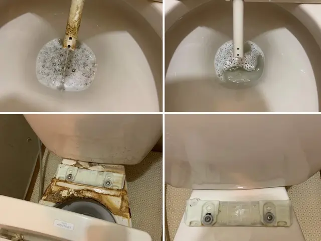 女性スタッフによるお家のクリーニング！　親切・丁寧に対応いたします◎サービスの画像