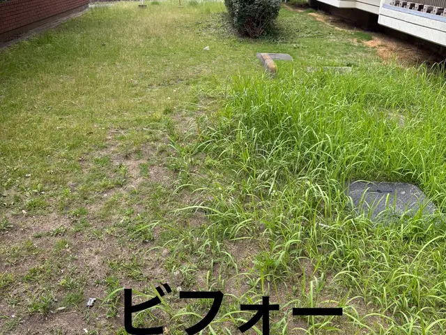 【6月出店】300件以上の実績！プロの技で根本から美しくサービスの画像